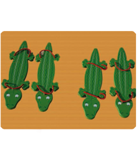 coursecrocodiles