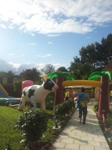 annivparti